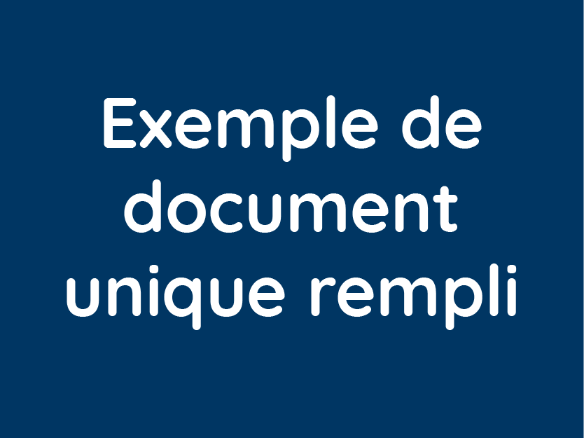 Exemple de document unique rempli
